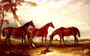  ferneley - Marvel Eisvogel And The Lad Pferd John Ferneley Snr